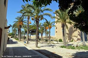 21 ALICANTE L ILE DE TABARCA (103)